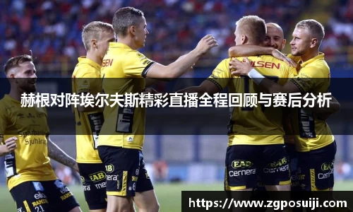 赫根对阵埃尔夫斯精彩直播全程回顾与赛后分析