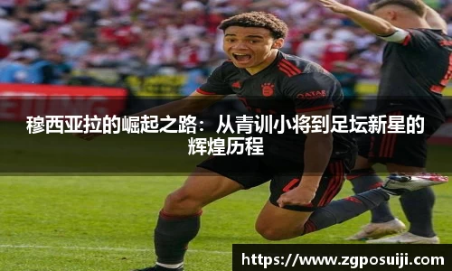 OD体育官网